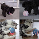 Automatic Interactive Pet Ball