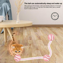 Automatic Interactive Pet Ball